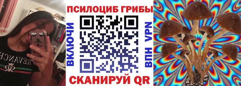 Псилоцибиновые грибы Magic Shrooms  Суджа 